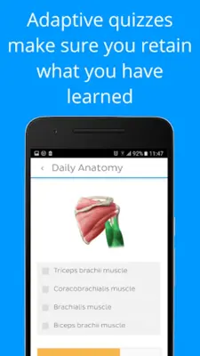 Daily Anatomy Flashcards android App screenshot 9