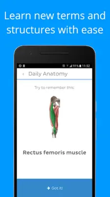 Daily Anatomy Flashcards android App screenshot 10