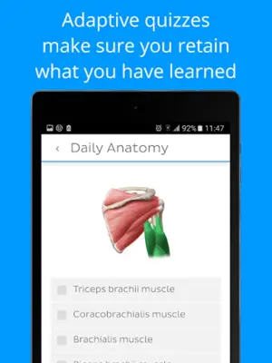 Daily Anatomy Flashcards android App screenshot 1