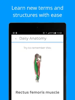 Daily Anatomy Flashcards android App screenshot 2