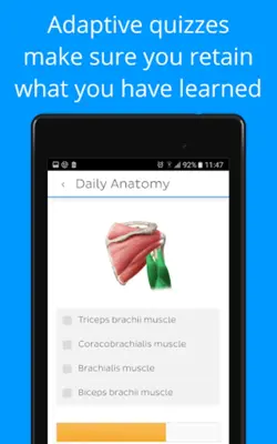 Daily Anatomy Flashcards android App screenshot 5