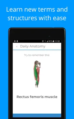 Daily Anatomy Flashcards android App screenshot 6